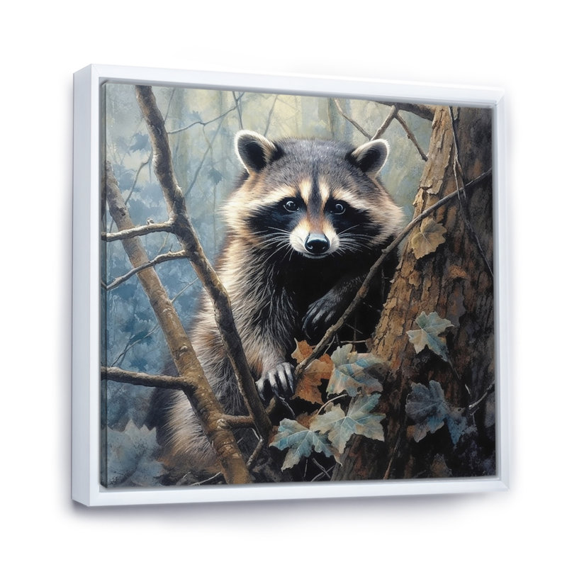 Racoon Wanderer III - animaux, impressions sur toile, Cadre flottant blanc, H 30 po x l 30 po x P 1 po