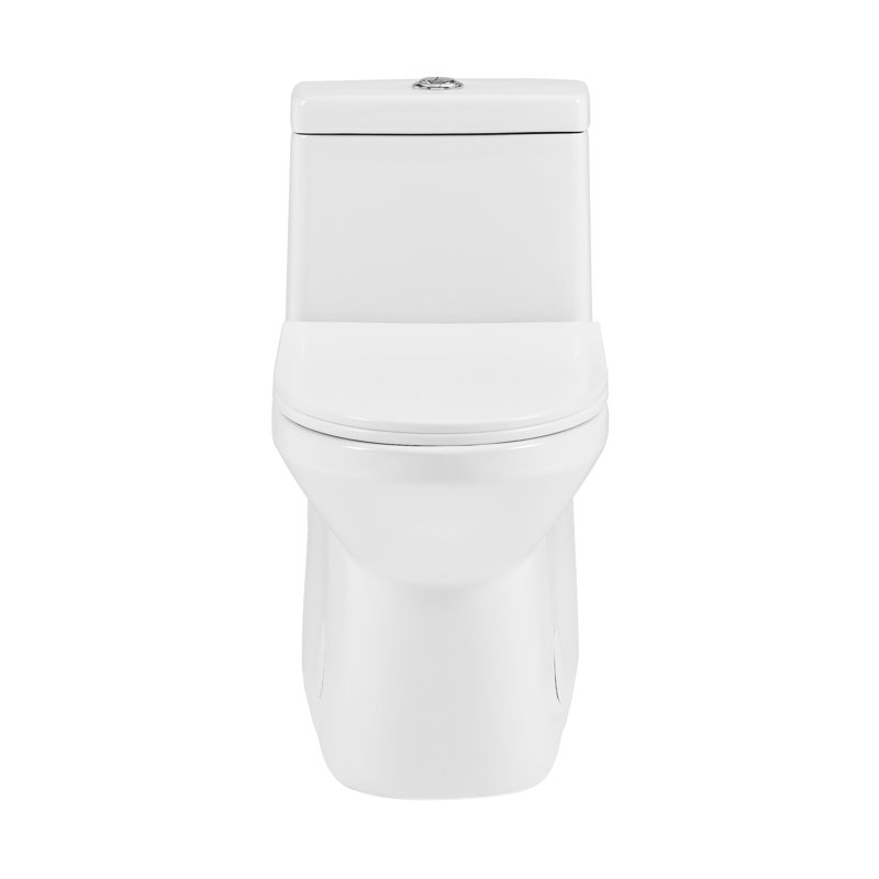 Pierre Dual-Flush Elongated One-Piece Toilet (Seat Included)