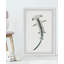 Chipman The Hammerhead, reproduction encadrée-547642481