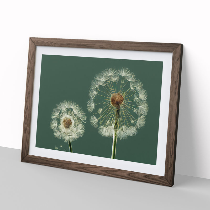 Ethereal Dandelion Flowers - Single Picture Frame Print, 46cm H x 64cm W x 2cm D, Walnut