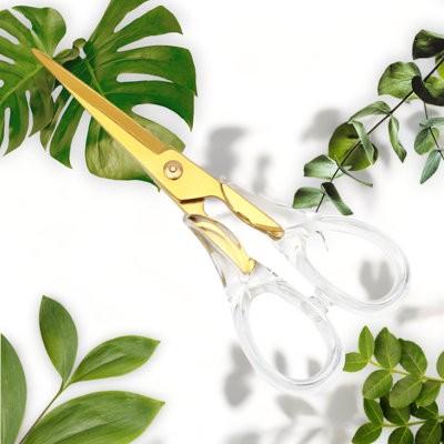 Acrylic Scissors