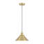 Luminaire suspendu conique en métal 1 lumière industriel simple