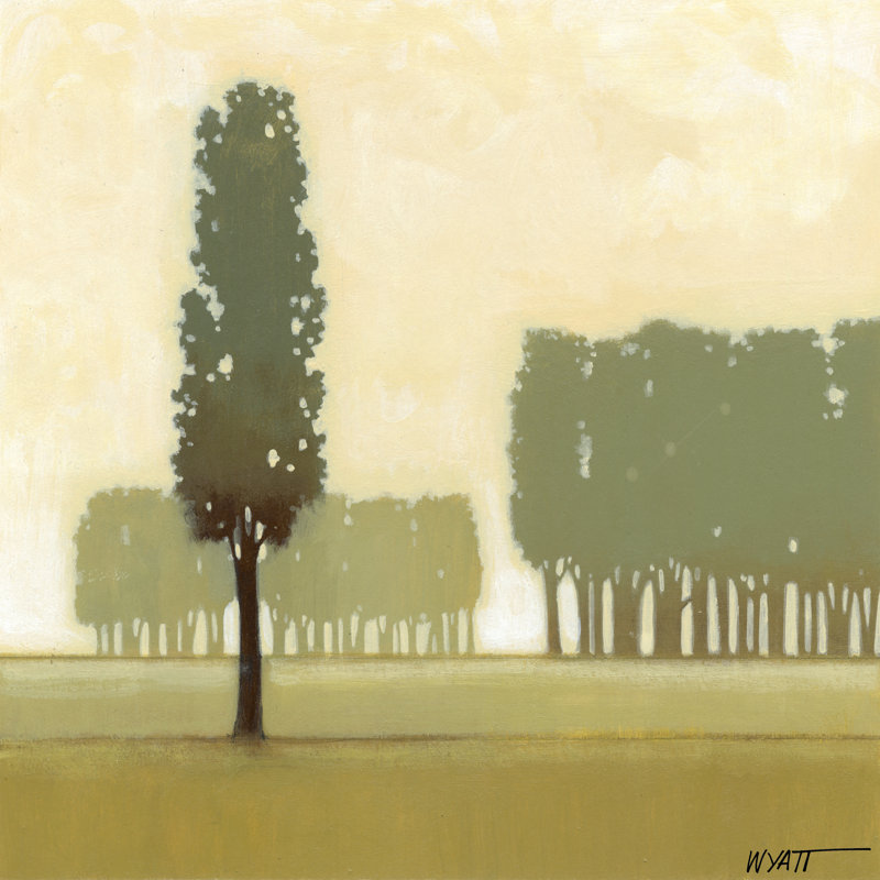 Moss Grove I by Norman Wyatt Jr. - Wrapped Canvas Art Print, 76cm H x 76cm W