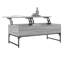 Annabella Lift Top Sled Coffee Table with Storage-1910653885-1910653873