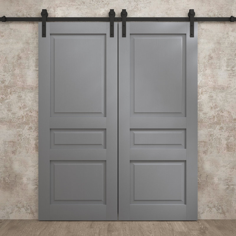 Porte de grange double moderne | Ego 5012 | Ensemble de rail | Portes intérieures solides, Chêne gris peint, 48 po x 80 po
