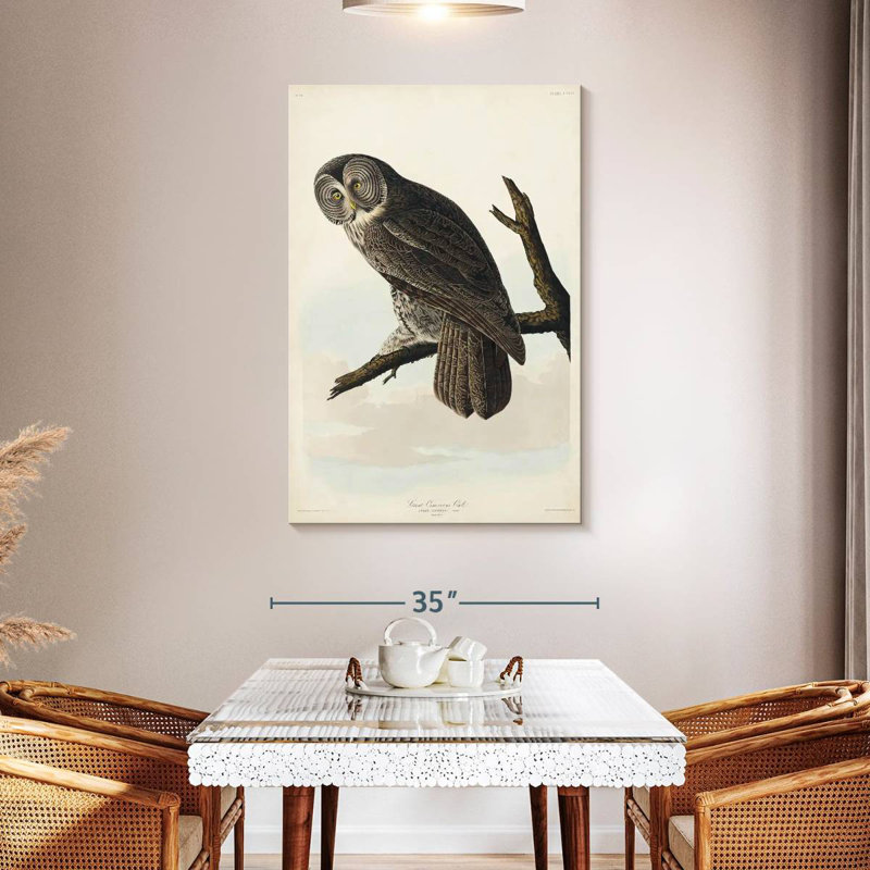 Brampt Great Cinereous Owl, 48" H x 32" W