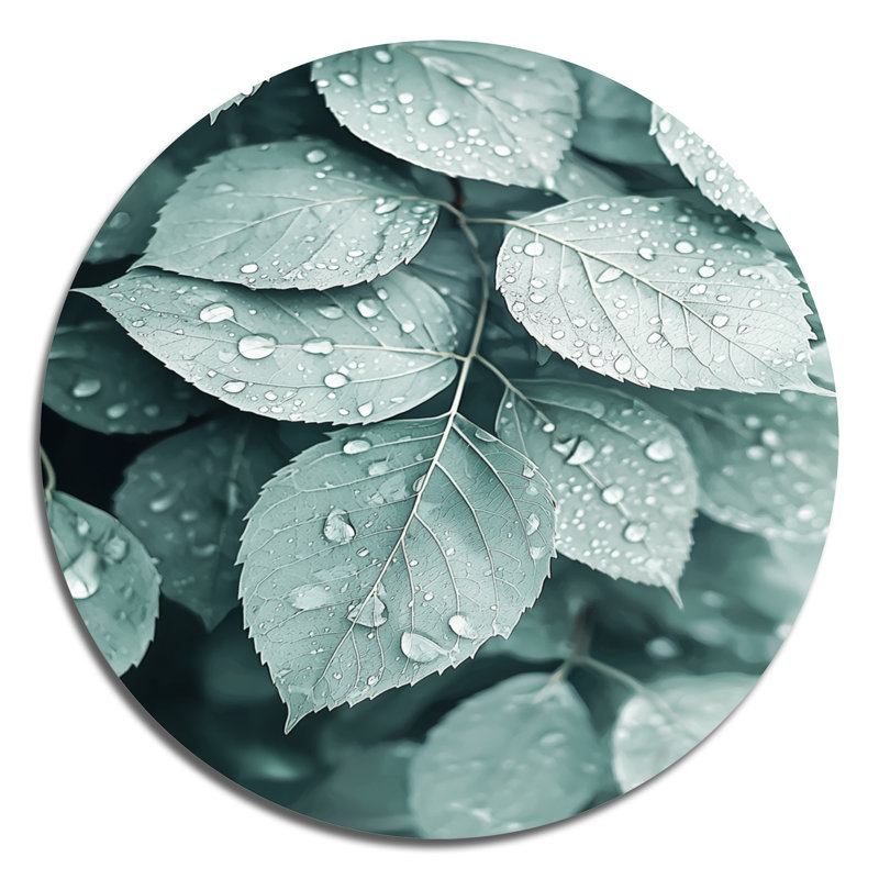 Rainy Day Leaves Collage II - feuilles rondes, art mural en métal vert traditionnel, H 29 po x l 29 po