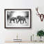 Elephants Crossing Paths - Picture Frame Graphic Art Print-56713195-56713194