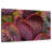 Harnek Angel Wing Cactus-108816396