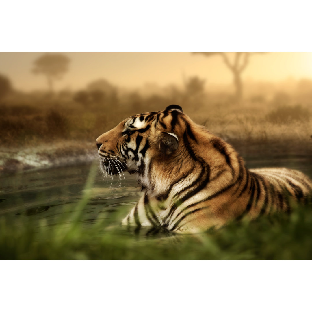 Poster Siberian Tiger von Mercedes Lopes Charro