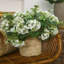 Fluffy Fluffy Fluffy, paquet de 2 tiges de Viburnum artificielles-997833846