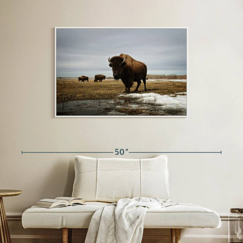 Bison Cloud Day, Cadre flottant blanc, 40 po x 27 po