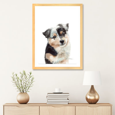 " Australian Shepherd Puppy "