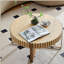 Modern Handcraft Drum Coffee Table with Sturdy Pedestal and Natural Ash Finish, Versatile for Any Room.