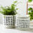 Stoneware Ceramic Saucer Planters with Drainage - Modern Decorative Plant Pots - Durable, Stylish Design for Home and Garden - Set of 2-539194340