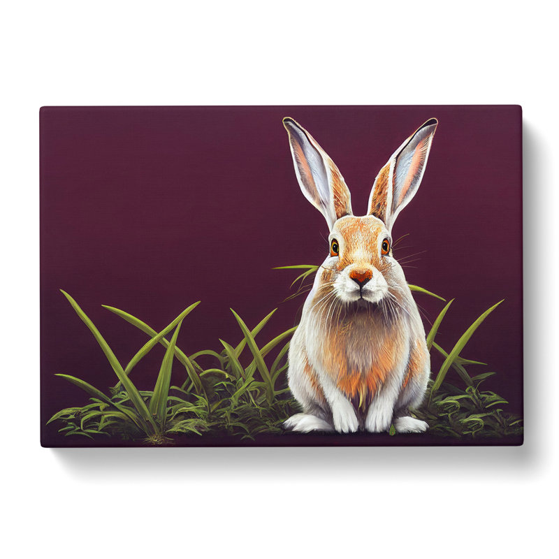 Face Of The Hare - Wrapped Canvas, 40cm H x 60cm W x 3cm D