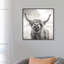 «Funny Girl» par Mark Gemmell - reproduction de photo-49715937-49715936-119396148