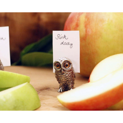 Porte-cartes d’emplacement hibou étain Harvest