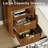 Coco Design 2-Drawer Manufactured Wood Nightstands with Storage and Built-in Outlets, Brown-750738079