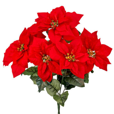 Buisson de poinsettia imperméable