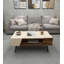 Coffee Table with Storage Unit Curve