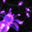 Ensemble de 3 guirlandes lumineuses à DEL 10 lumières araignées mauves - fil transparent de 3 pi