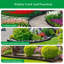 Bordure de pelouse de 10 cm de haut (sans creuser) - 45/60 m - Bordure paysagère, bordure de jardin, bordure de pelouse et bordure paysagère sans creuser - Bordure de parterre de fleurs en plastique - Bordure paysagère en caoutchouc