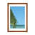 Framed Paper n'est pas disponible