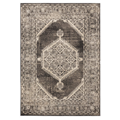 Hicklin Oriental Indoor Rug