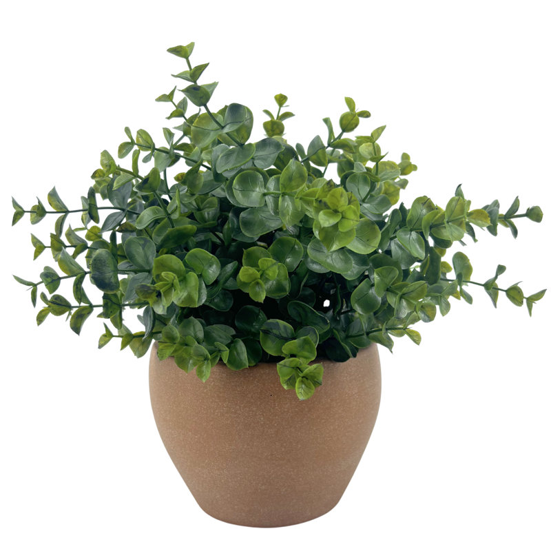 Faux bol eucalyptus en céramique terre cuite