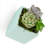 Eakin Ceramic Wall Planter-27330503