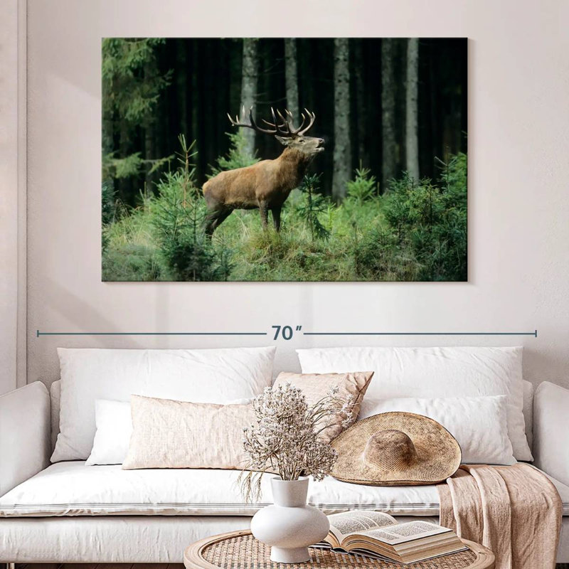 Crowle Elk Bugle, 34" H x 51" W