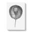 Stingray Illustration - Wrapped Canvas Print-55318295