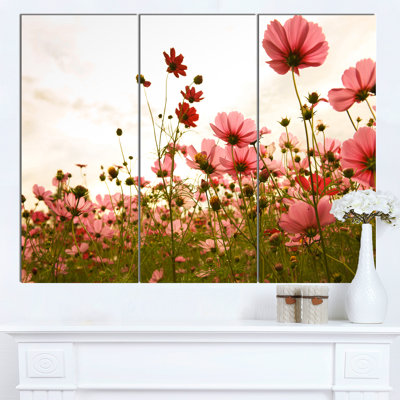 « belle cosmos fleurs jardin », ensemble de 3 reproductions de photos sur toiles tendues