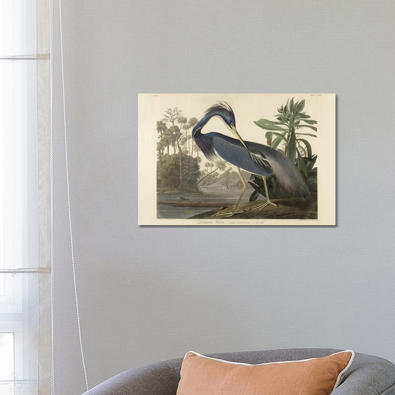 Louisiana Heron, 1834 by Robert The Younger Havell - Wrapped Canvas Painting, 66.04 cm H x 45.72 cm W x 3.175 cm D
