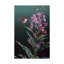 «Fireweed» d'Etelca, impression sur toile tendue-27652321