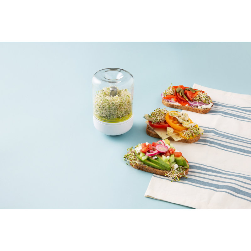 Chef'n Growing Kit Salads