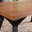 Pivoine Metal Base Dining Table