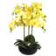 Plant-88685042-88685043