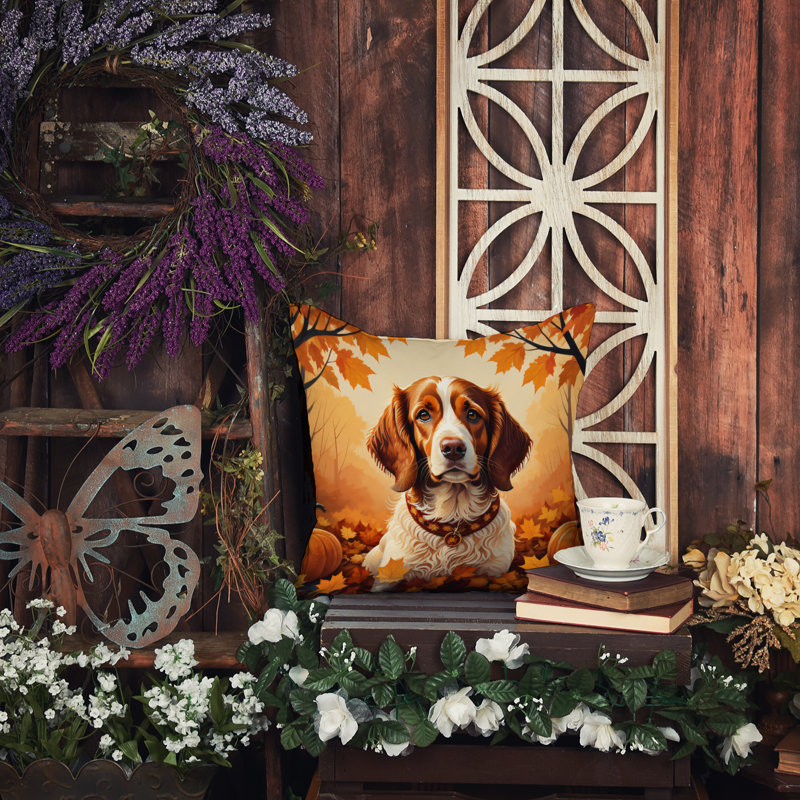 Coussin décoratif Brittany, 14 po x 14 po