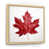 Natural Floater Framed