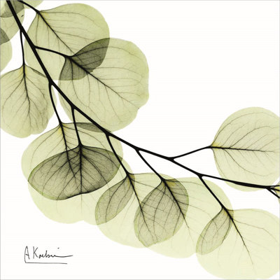 Décoration murale menthe eucalyptus