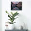 "Whitemans Pond 1" par Joe Reimer, art mural en verre acrylique-299006039