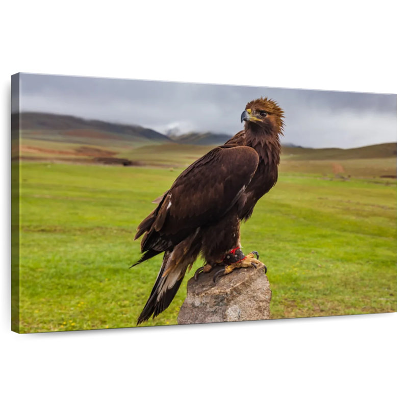 Brampt Eagle On Stone, 26" H x 39" W