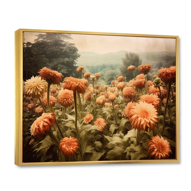 «Peach Green Chrysanthemums Field», reproduction sur toile, Cadre flottant doré, H 16 po x l 32 po x P 1 po