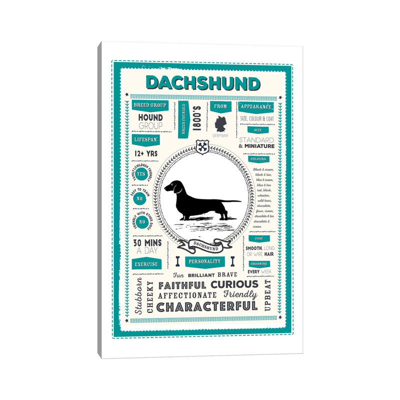 «Dachshund Infographie Blue» par PaperPaintPixels, impression sur toile tendue, H 18 po x l 12 po x P 1,5 po