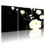 Pivoine fleurs blanches sur fond noir avec accents dorés, ensemble de 3 impressions sur toile-1194571238