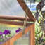 Rowlinson Hardwood Coldframe