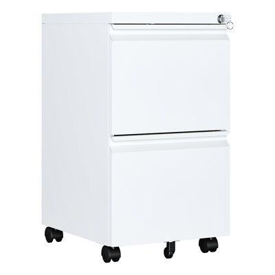 Kristoher 2-Drawer Mobile Vertical Filing Cabinet(Fully Assembled) by Steelcube