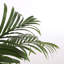 Faux Palm Plant in Plastic Pot-599243177